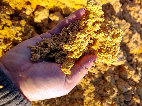 Handling Grain Bard Waste DDGS for Sustainable Agriculture Applications