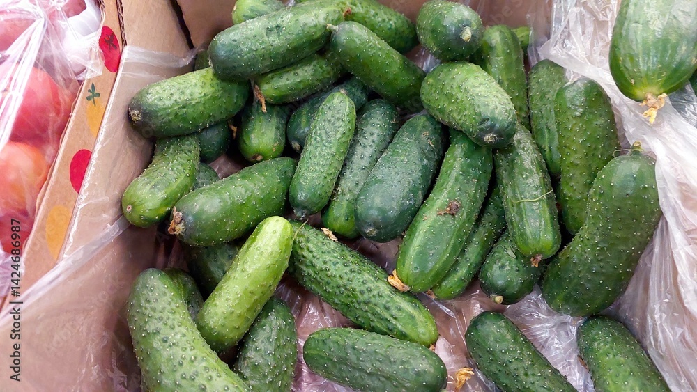 Poster fresh cucumbers piled in a cardboard box at a local farmers market in summer