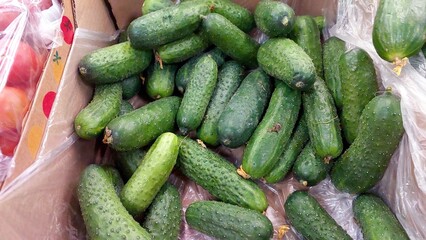 Fresh cucumbers piled in a cardboard box at a local farmers market in summer
