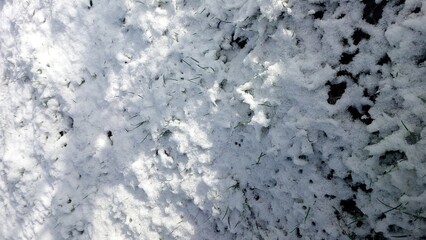Snow covers green grass in spring, creating a unique landscape during the changing season