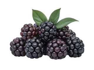 A pile of fresh blackberries  isolated over png transparent background	