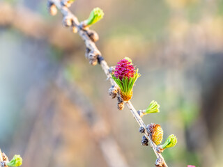 Colorful autumn forest with trees on the shore of a blue lake - top aerial view.
