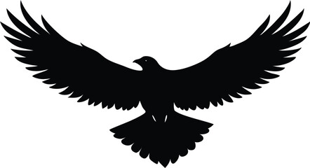 Flying Eagle Close Up Silhouette