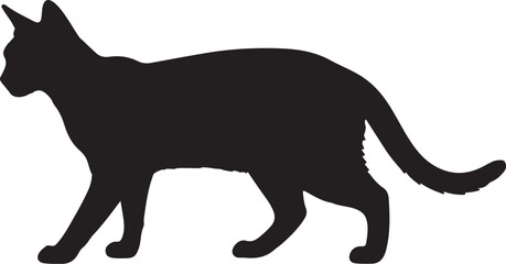 Abyssinian Cat Silhouette on White Background