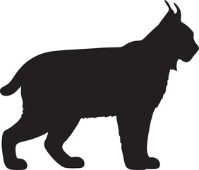 Balkan Lynx Silhouette on White Background