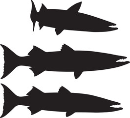 Barracuda Silhouette on White Background