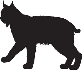 Obraz premium Bobcat Silhouette on White Background