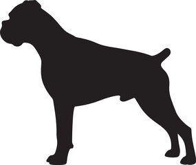 Boxer Silhouette on White Background