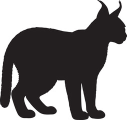Caracal Silhouette on White Background