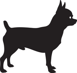Chihuahua Silhouette on White Background