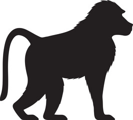 Chacma Baboon Silhouette on White Background
