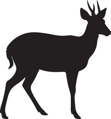 Chital Silhouette on White Background