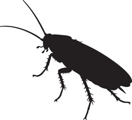 Cockroach Silhouette on White Background