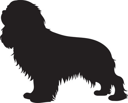 recommend clip art: Cavalier King Charles Spaniel Silhouette on White Background