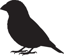 Grosbeak Silhouette on White Background