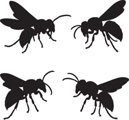 Hornet Silhouette on White Background