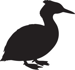 Grebe Silhouette on White Background
