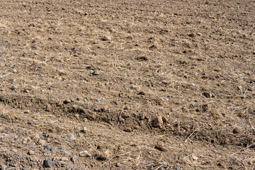 Empty plowed field after harvest