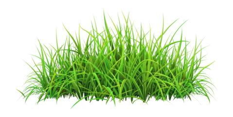 PNG Green grass illustration vegetation botanical.