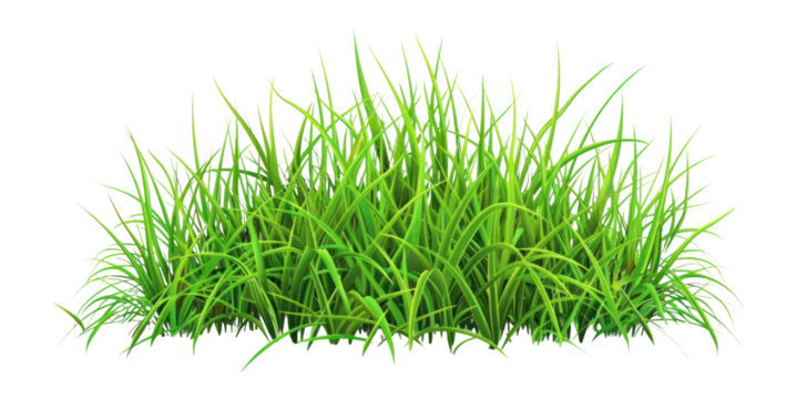 PNG Green grass illustration vegetation botanical.