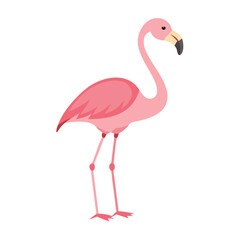 Fototapeta premium Flamingo: The Elegant Pink Wader