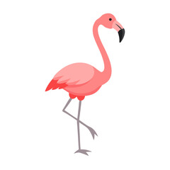 Flamingo: The Elegant Pink Wader