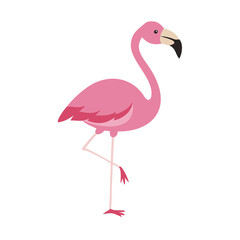 Flamingo: The Elegant Pink Wader
