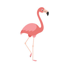 Flamingo: The Elegant Pink Wader