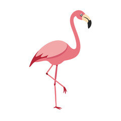 Flamingo: The Elegant Pink Wader
