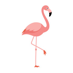 Flamingo: The Elegant Pink Wader