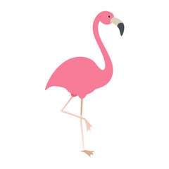 Flamingo: The Elegant Pink Wader