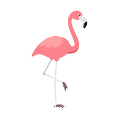 Flamingo: The Elegant Pink Wader