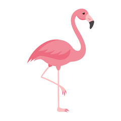 Obraz premium Flamingo: The Elegant Pink Wader