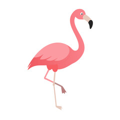 Flamingo: The Elegant Pink Wader