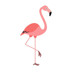 Flamingo: The Elegant Pink Wader