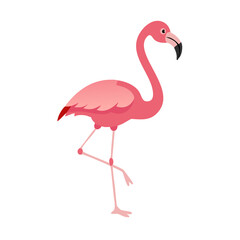 Flamingo: The Elegant Pink Wader