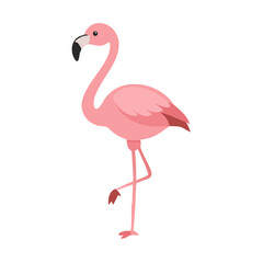 Flamingo: The Elegant Pink Wader