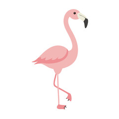 Flamingo: The Elegant Pink Wader