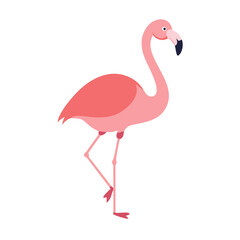 Flamingo: The Elegant Pink Wader