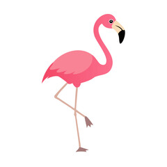 Flamingo: The Elegant Pink Wader