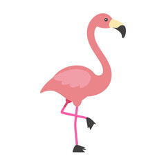 Flamingo: The Elegant Pink Wader