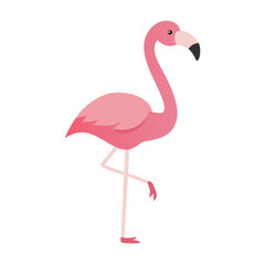 Flamingo: The Elegant Pink Wader