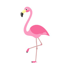 Flamingo: The Elegant Pink Wader