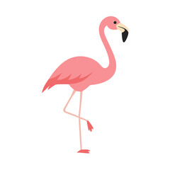 Flamingo: The Elegant Pink Wader