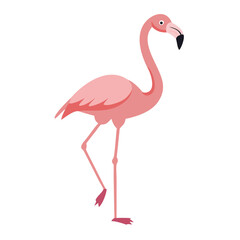 Flamingo: The Elegant Pink Wader