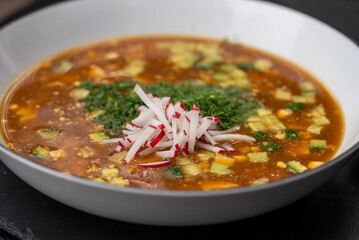 Okroshka, a traditional cold Russian soup made with kvass, various fresh vegetables, herbs and boiled meat or sausage, garnished with sliced radish