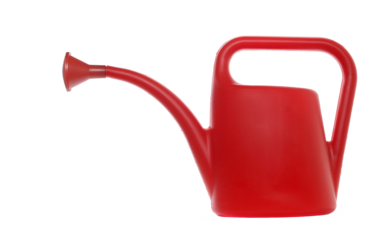  red watering can for gardening, isolated on white background