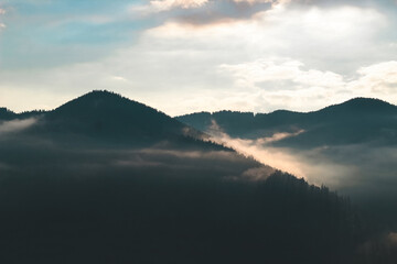 Mountain landscape with mist and trees during early morning hours in a serene environment