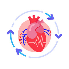 Human Heart Illustration with Circulation Arrows on Black Background