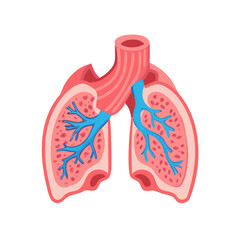 Human Lungs Anatomy Cross-Section Illustration on Black Background